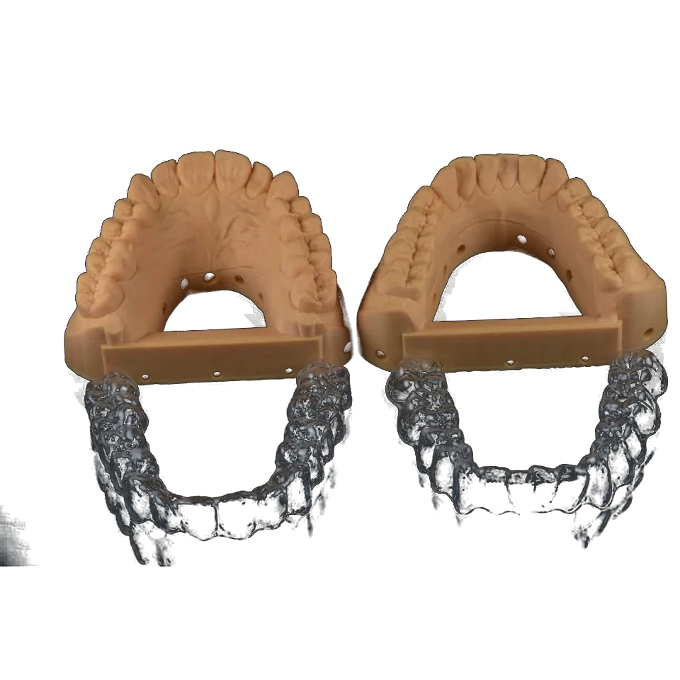 Clear thermoplastic retainer on a working model